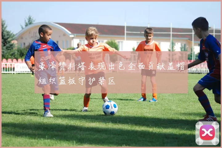 豪泽赞科塔表现出色全面贡献盖帽组织篮板守护禁区