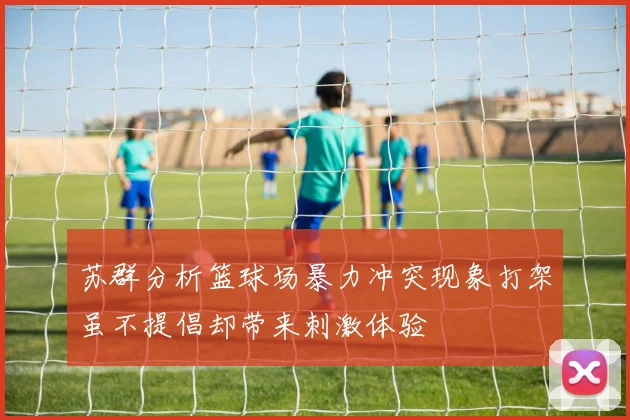 苏群分析篮球场暴力冲突现象打架虽不提倡却带来刺激体验