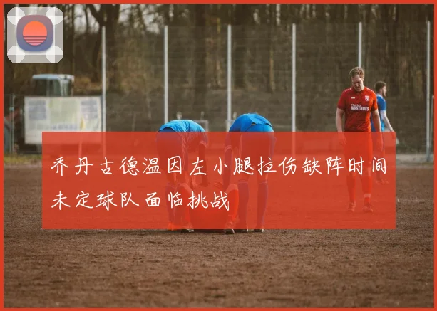 乔丹古德温因左小腿拉伤缺阵时间未定球队面临挑战