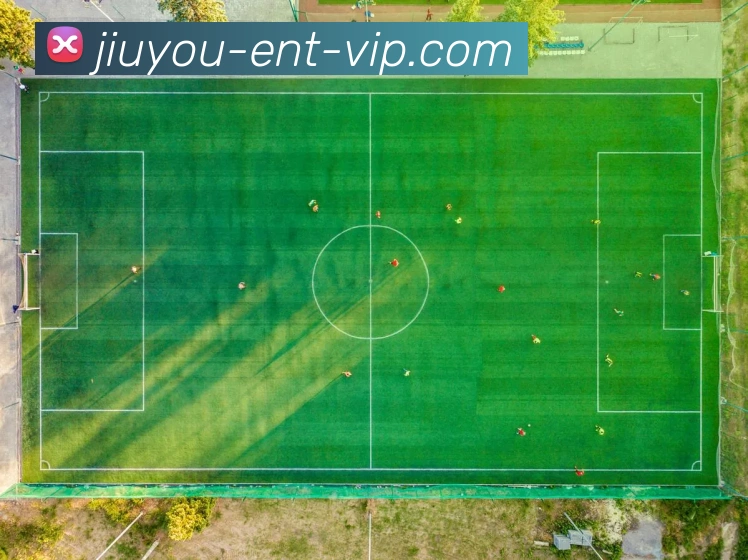 奖项证书